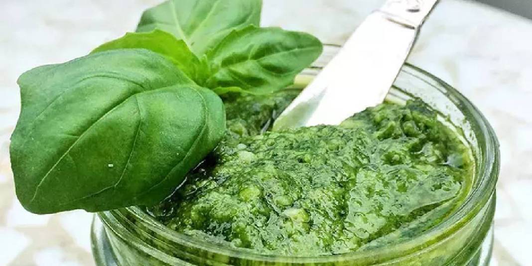 Kokusu şifa saçıyor! Evinizde mutlaka olsun: Tek bir bitkiyle hem baş ağrısı tarih oluyor hem sivrisinekler kaçıyor! 1